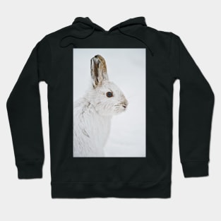 Snow Shoe Hare Hoodie